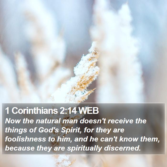 1 Corinthians 2:14 WEB Bible Study