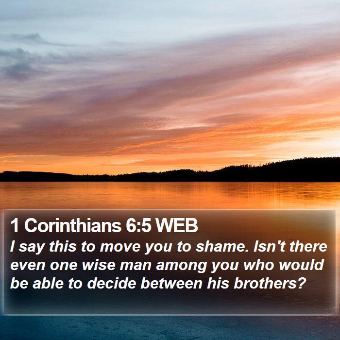 1 Corinthians 6:5 WEB Bible Study