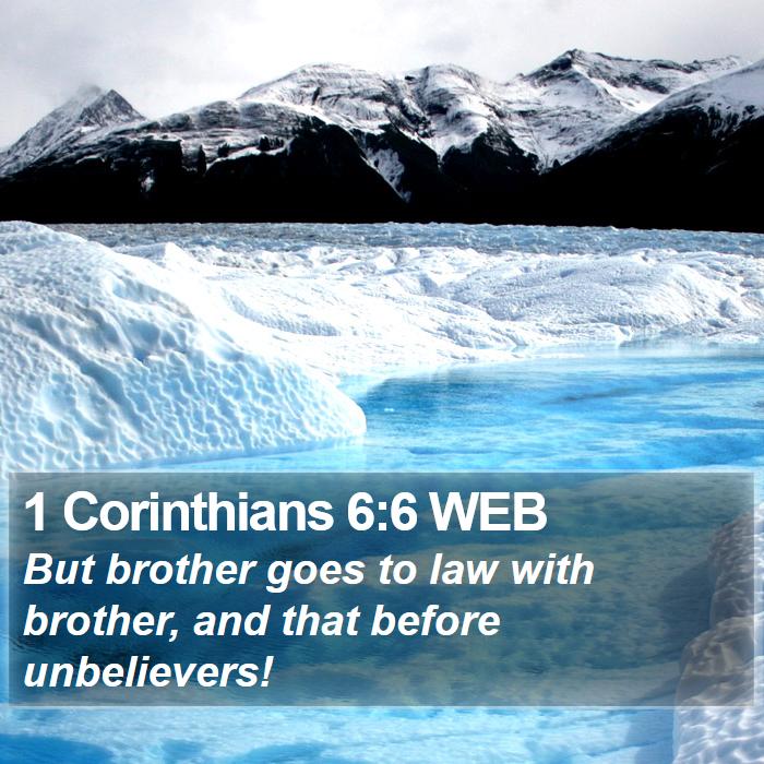 1 Corinthians 6:6 WEB Bible Study