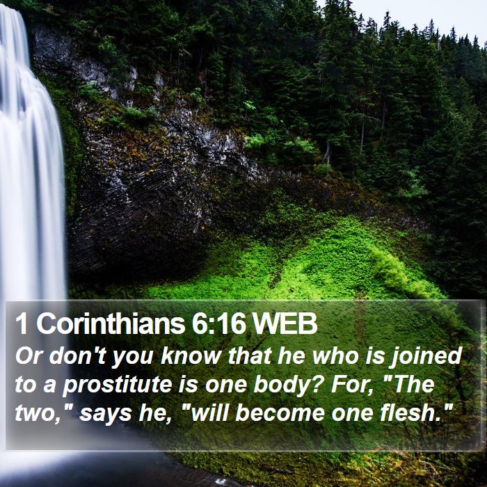 1 Corinthians 6:16 WEB Bible Study