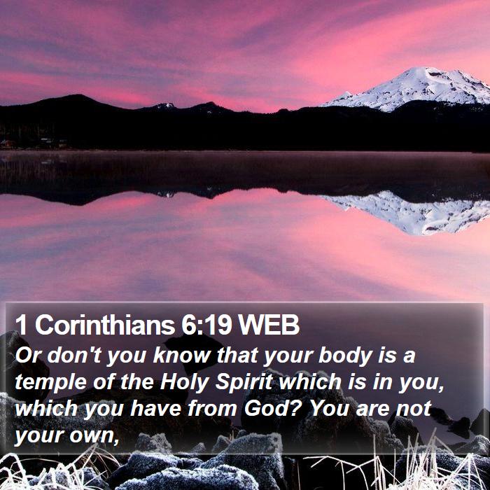 1 Corinthians 6:19 WEB Bible Study