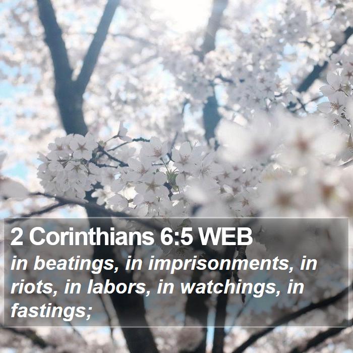 2 Corinthians 6:5 WEB Bible Study