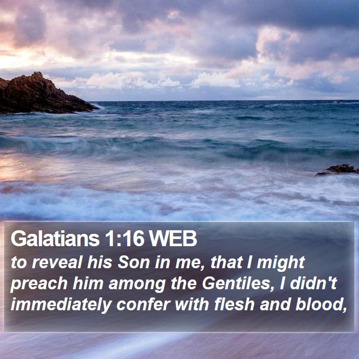 Galatians 1:16 WEB Bible Study