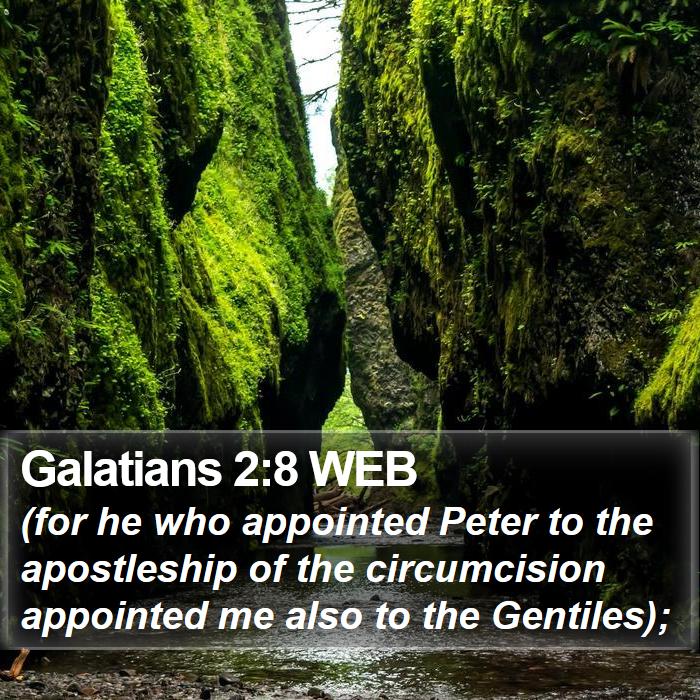 Galatians 2:8 WEB Bible Study