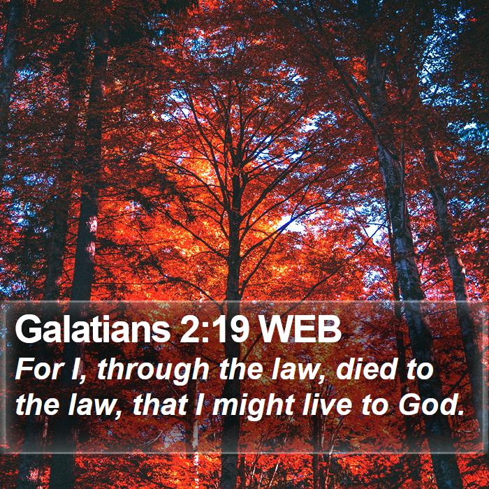 Galatians 2:19 WEB Bible Study