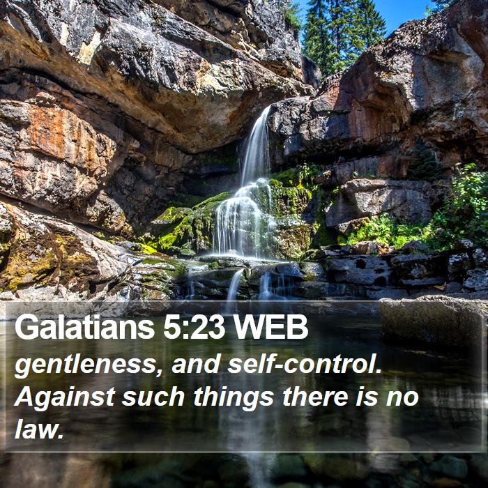 Galatians 5:23 WEB Bible Study