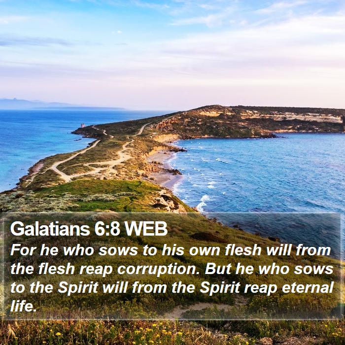 Galatians 6:8 WEB Bible Study