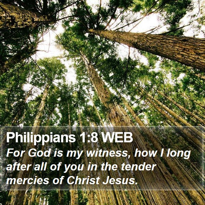 Philippians 1:8 WEB Bible Study