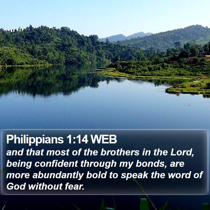 Philippians 1:14 WEB Bible Study