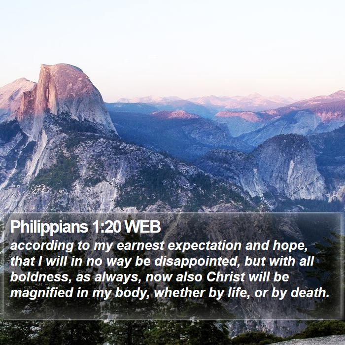 Philippians 1:20 WEB Bible Study