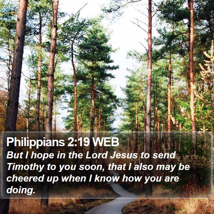 Philippians 2:19 WEB Bible Study