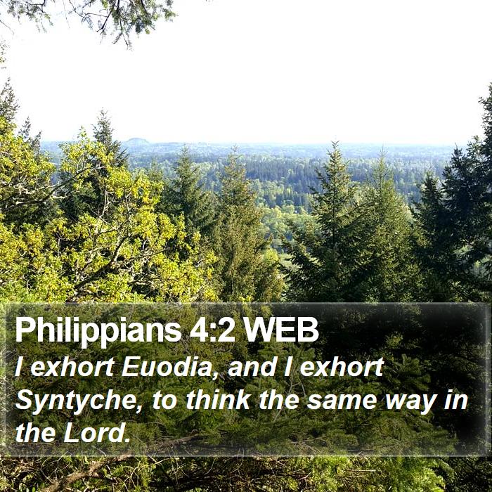 Philippians 4:2 WEB Bible Study