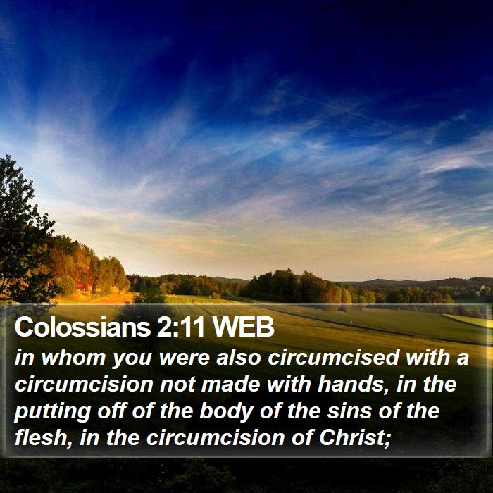 Colossians 2:11 WEB Bible Study