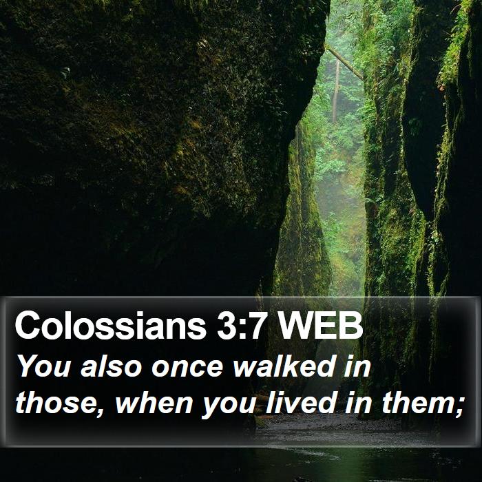 Colossians 3:7 WEB Bible Study