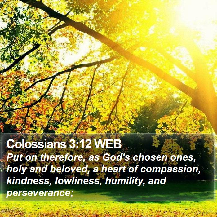 Colossians 3:12 WEB Bible Study