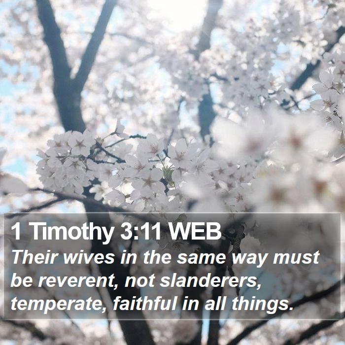 1 Timothy 3:11 WEB Bible Study