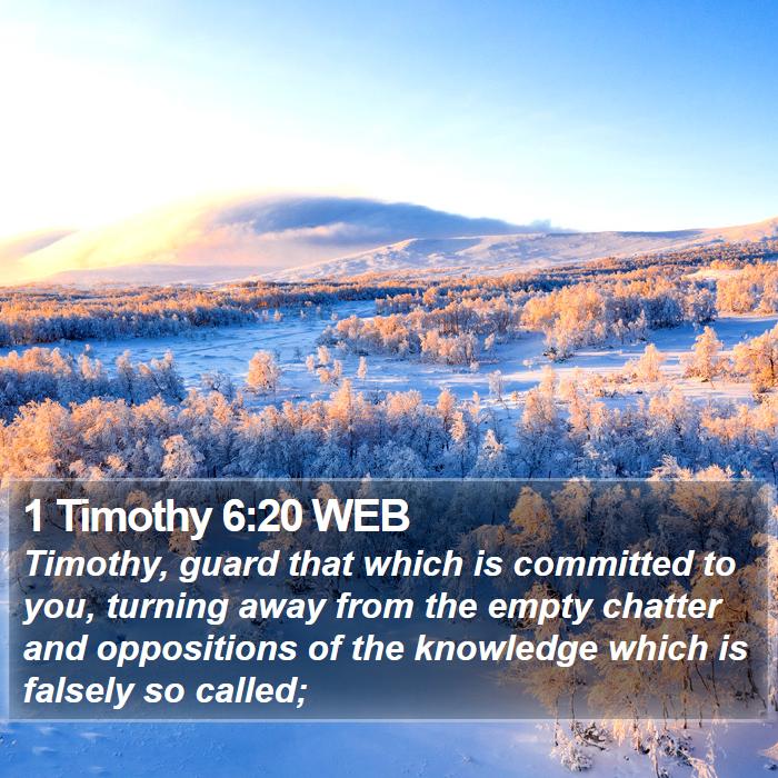 1 Timothy 6:20 WEB Bible Study