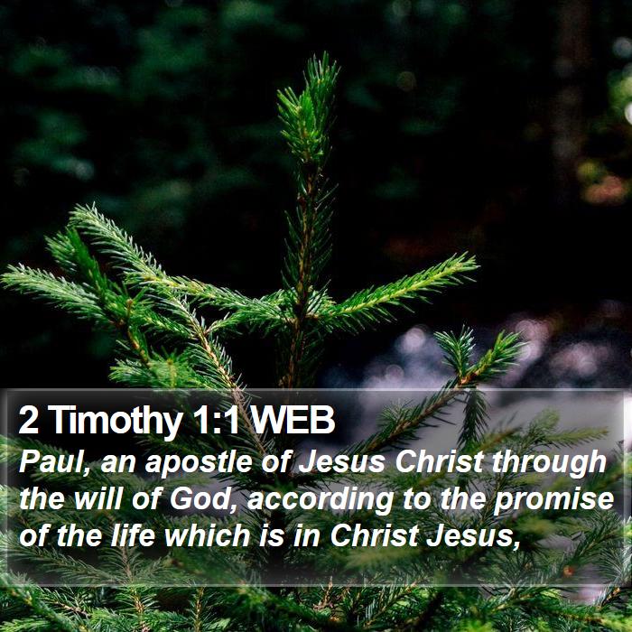 2 Timothy 1:1 WEB Bible Study