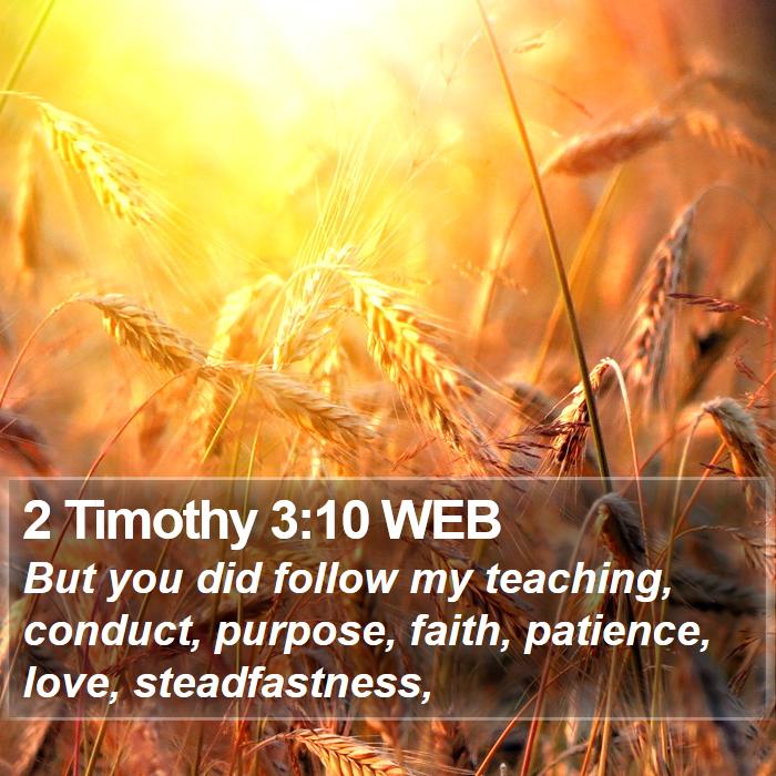 2 Timothy 3:10 WEB Bible Study