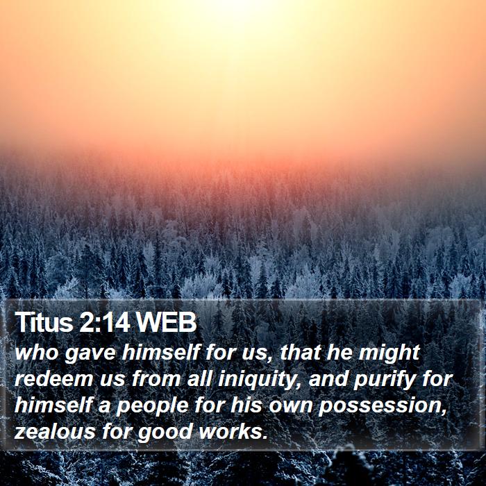 Titus 2:14 WEB Bible Study