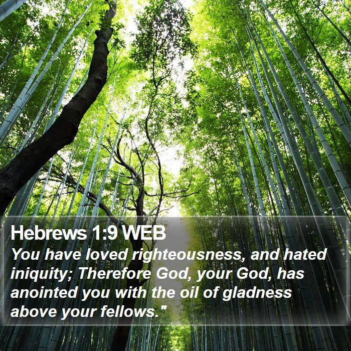 Hebrews 1:9 WEB Bible Study