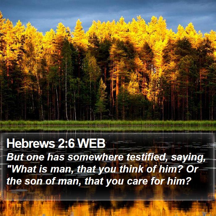 Hebrews 2:6 WEB Bible Study