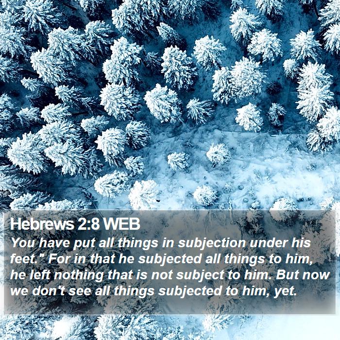 Hebrews 2:8 WEB Bible Study