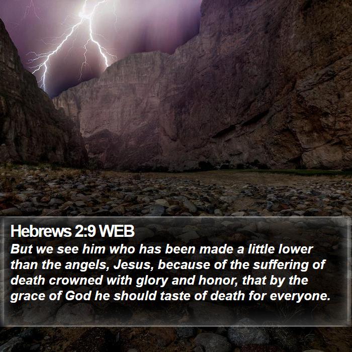 Hebrews 2:9 WEB Bible Study