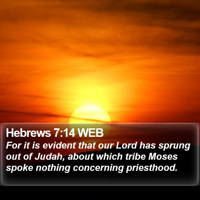 Hebrews 7:14 WEB Bible Study