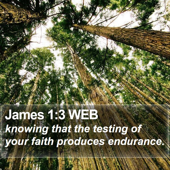 James 1:3 WEB Bible Study