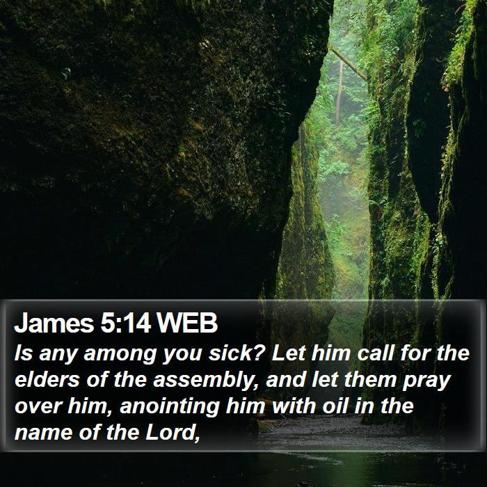 James 5:14 WEB Bible Study