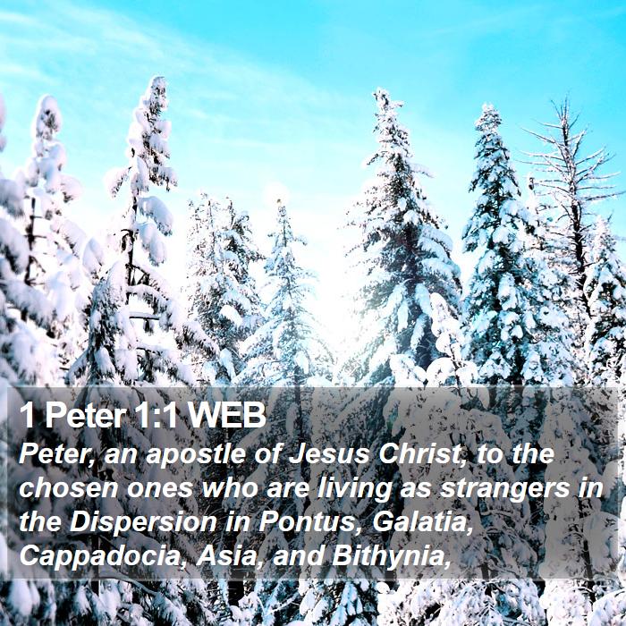 1 Peter 1:1 WEB Bible Study