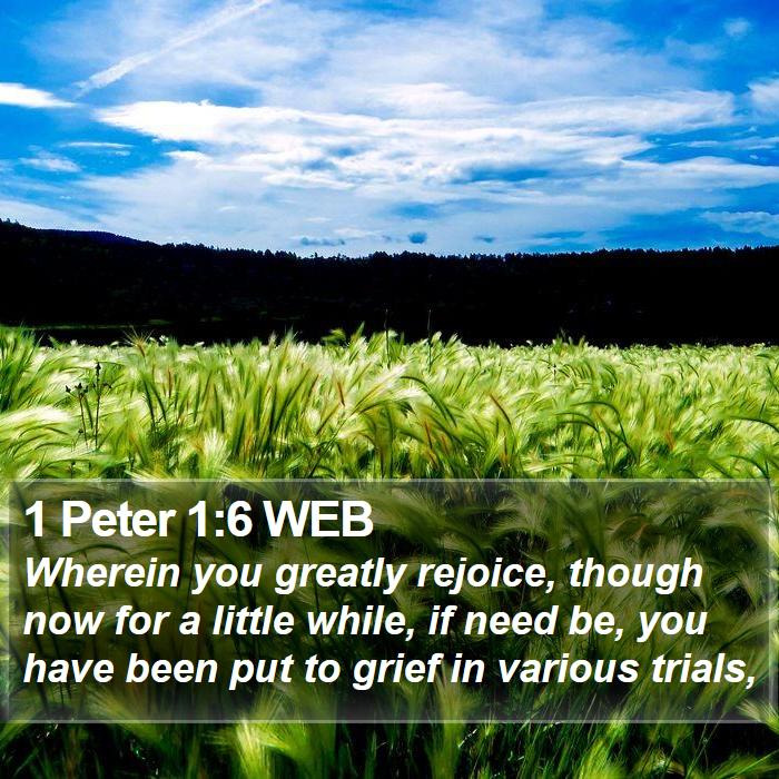 1 Peter 1:6 WEB Bible Study