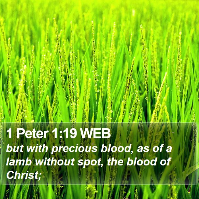 1 Peter 1:19 WEB Bible Study