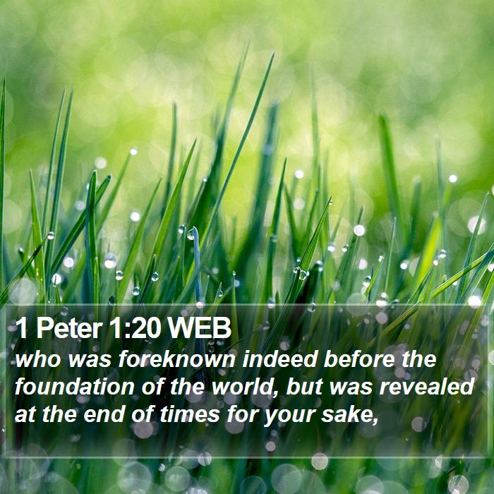 1 Peter 1:20 WEB Bible Study