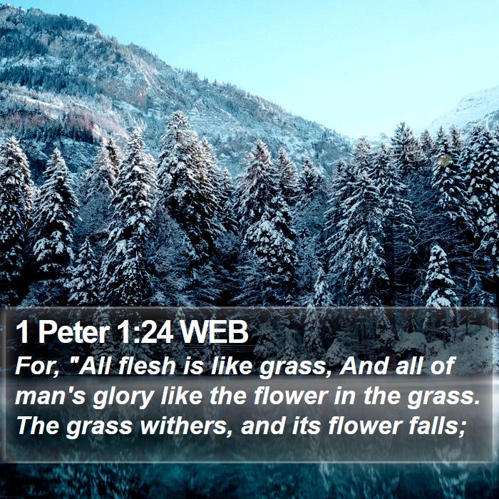 1 Peter 1:24 WEB Bible Study