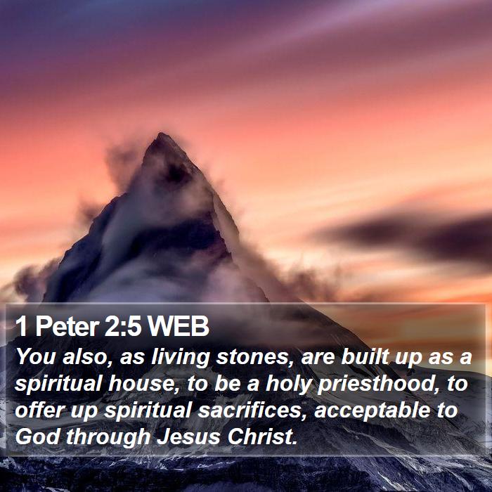 1 Peter 2:5 WEB Bible Study