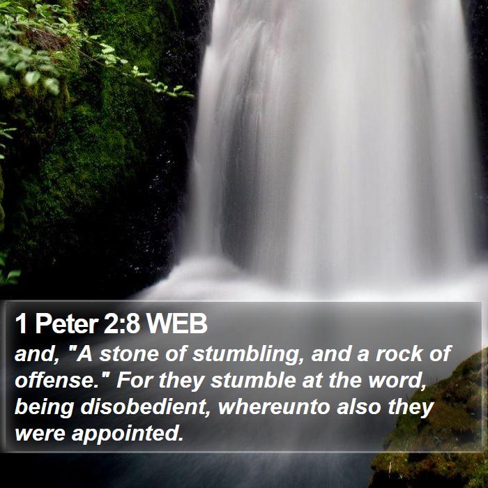 1 Peter 2:8 WEB Bible Study