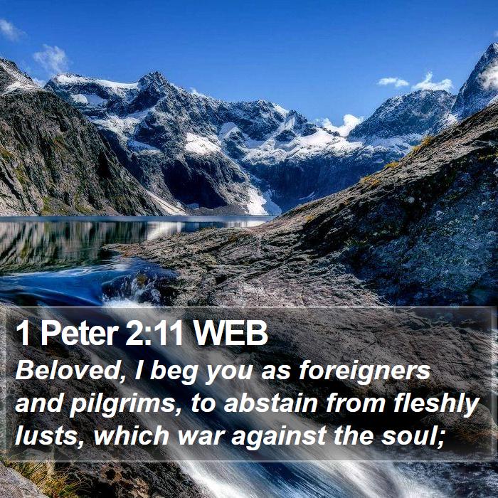 1 Peter 2:11 WEB Bible Study