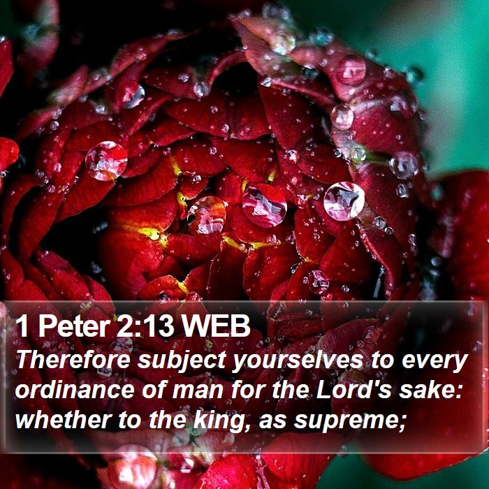 1 Peter 2:13 WEB Bible Study