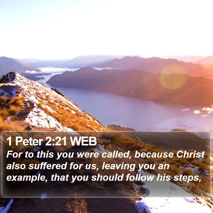 1 Peter 2:21 WEB Bible Study