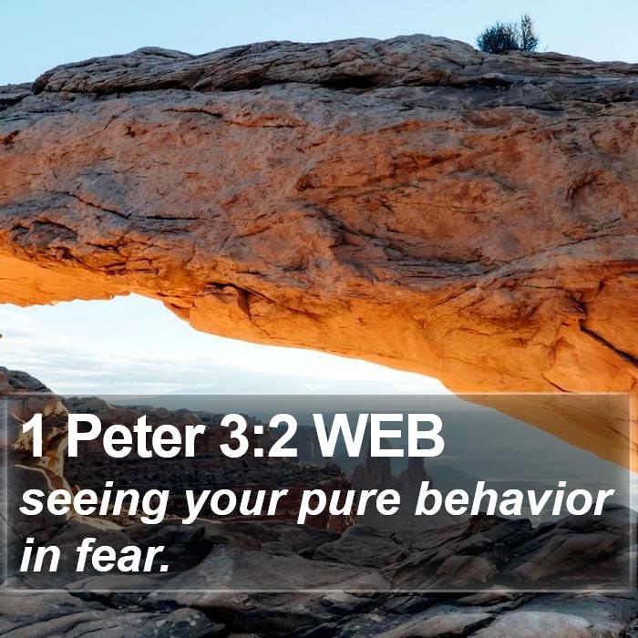 1 Peter 3:2 WEB Bible Study