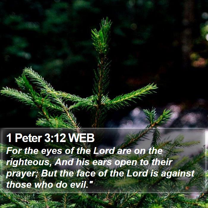 1 Peter 3:12 WEB Bible Study