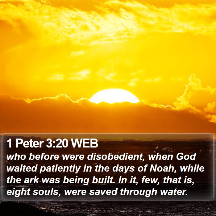 1 Peter 3:20 WEB Bible Study