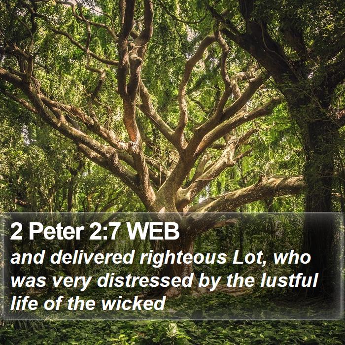 2 Peter 2:7 WEB Bible Study