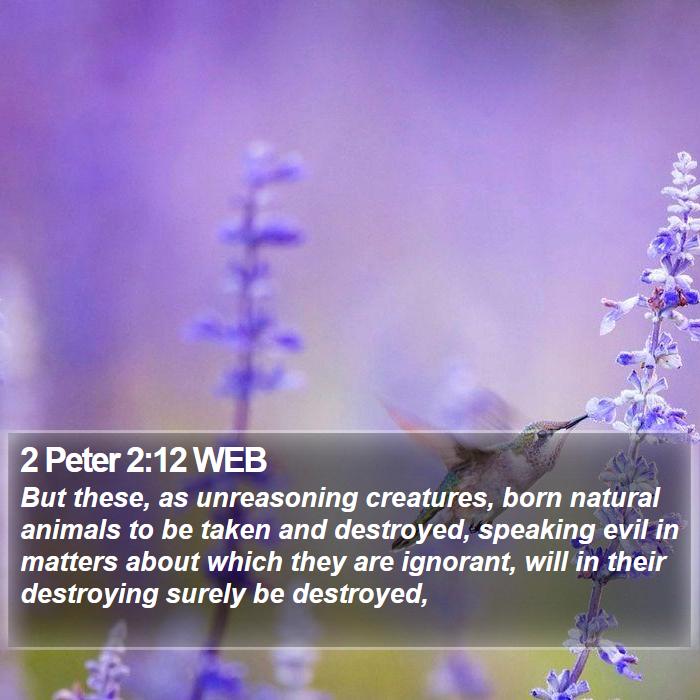 2 Peter 2:12 WEB Bible Study