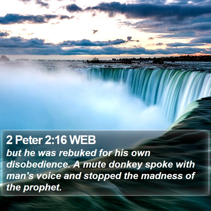 2 Peter 2:16 WEB Bible Study