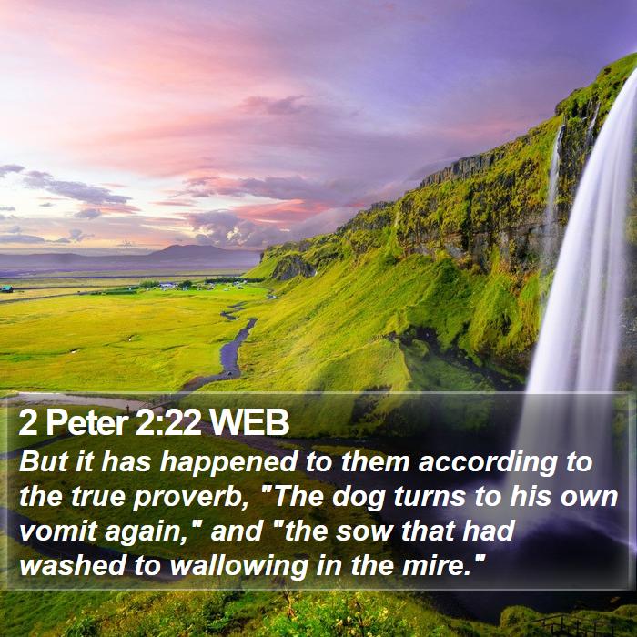 2 Peter 2:22 WEB Bible Study