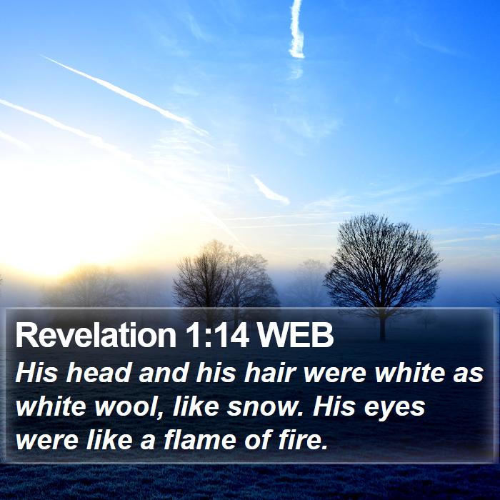 Revelation 1:14 WEB Bible Study